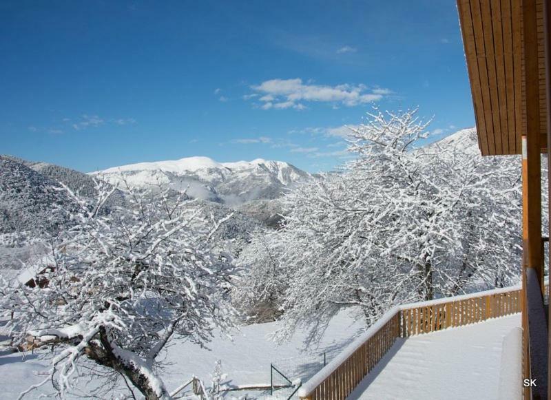 Les Chalets Fleurs De France - Kota Saint-Dalmas Exterior photo